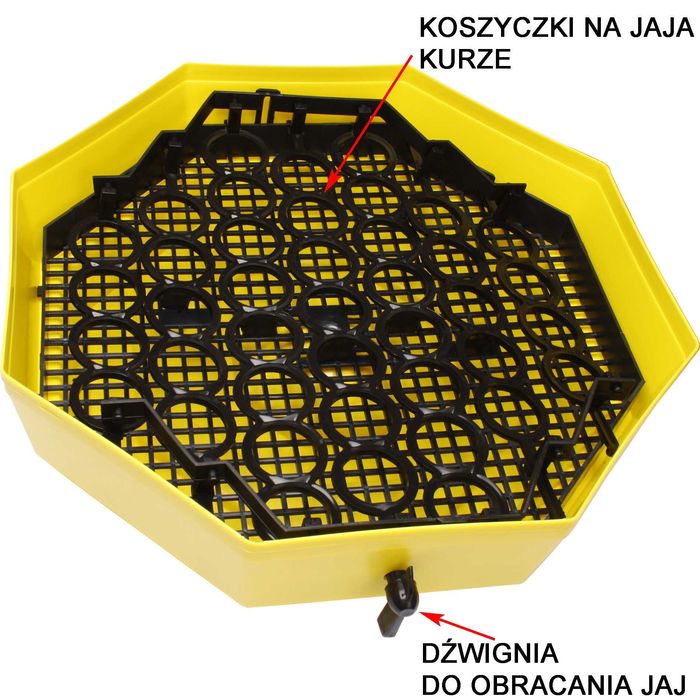 Inkubator CLEO 5DTH klujnik wylęgarka półautomat 60 jaj LCD gwarancja