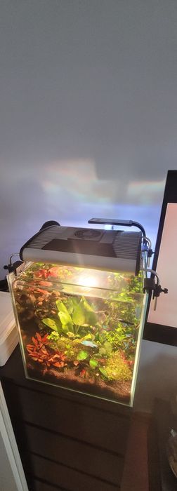 Lampa oświetlenie akwarium Zetlight G300 sterownik iOZEAN