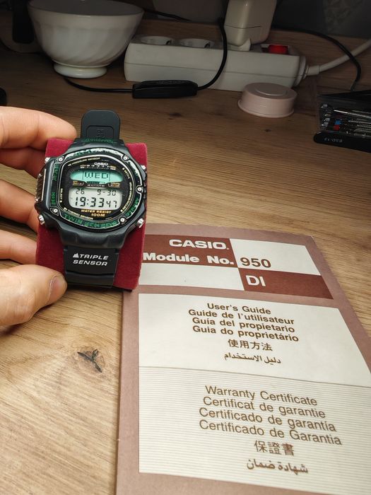 Casio ALT-6000 *Pro Trek