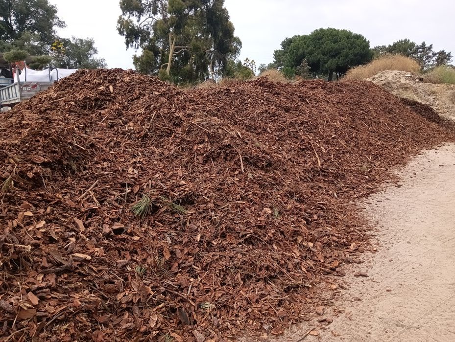 Casca de Pinheiro Não crivada, 63€ IVA inc
Para ornamentar espaços ver