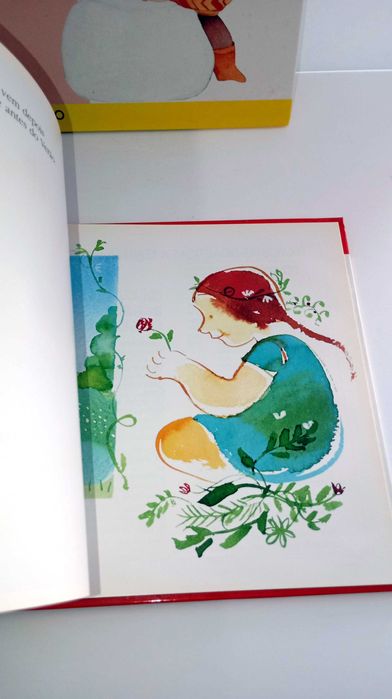 Coleção Biblioteca Infantil - Primavera/Verão/ outono/ Inverno