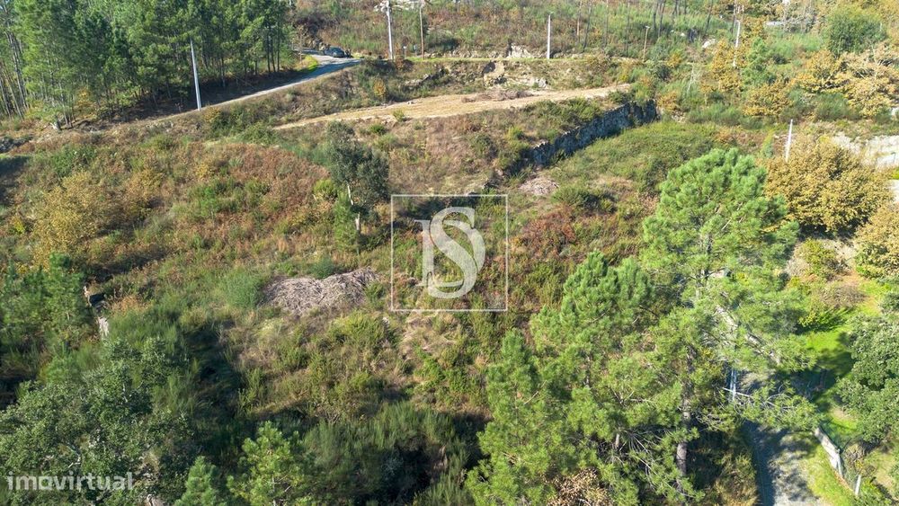 Terreno  Venda em Gondar,Amarante