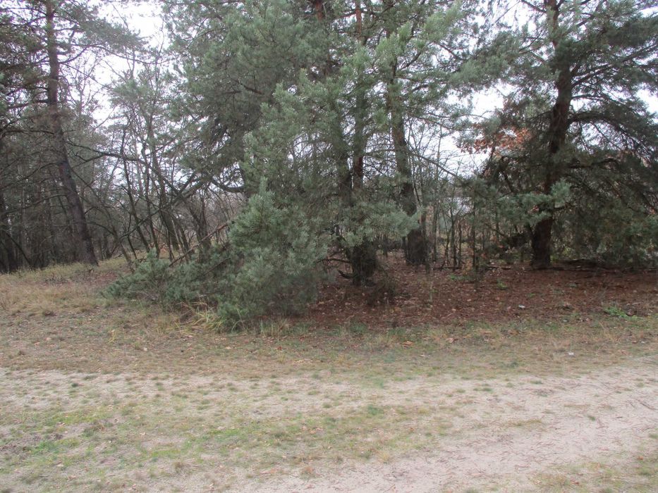 Продаж земельної ділянки 22,47 сот. Київська обл., с.Жукин  9100$