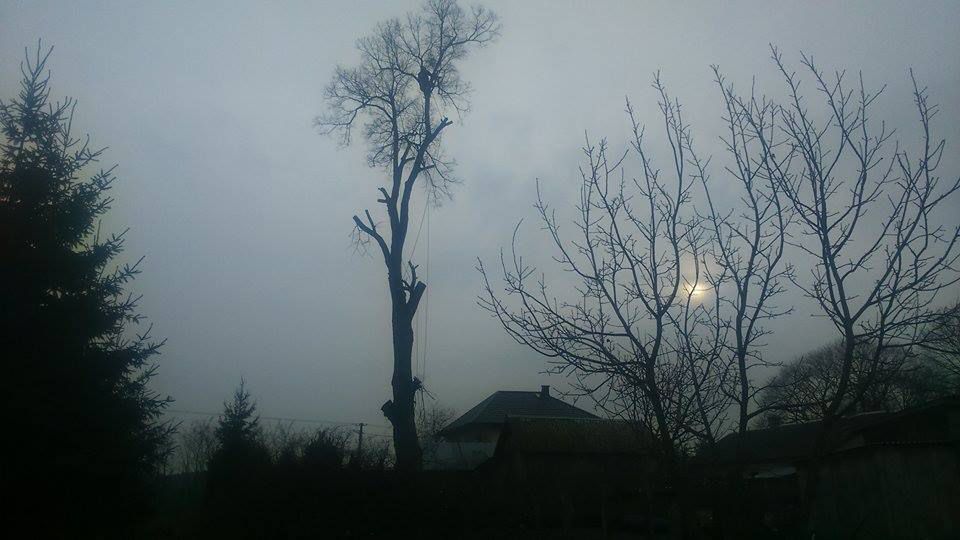 Wycinka drzew,skracanie koron,podcinka.Lubelskie.