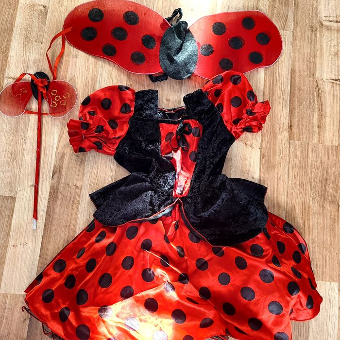 Strój biedronki dla dziewczynki