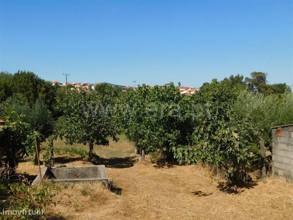 Quintinha T1 / Fundão, Atalaia do Campo