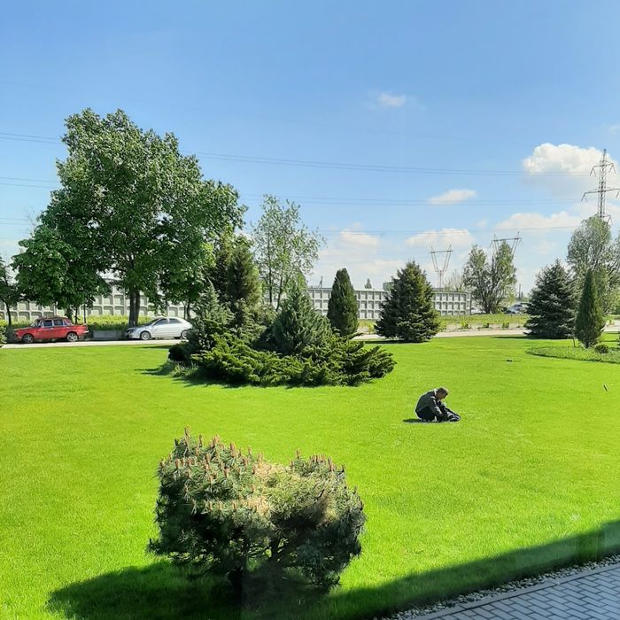 Покос газона, травы, внесение удобрений Днепр