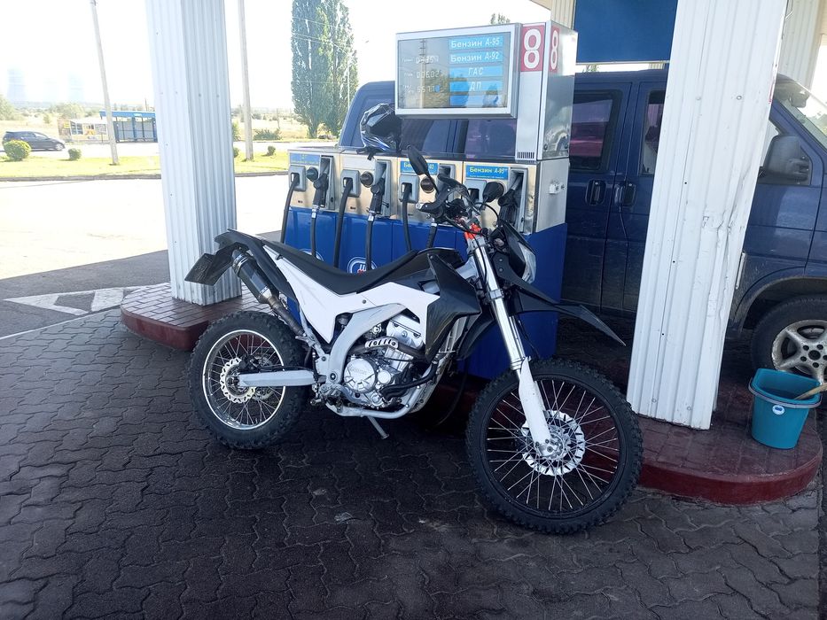 Продам Лонсін 300