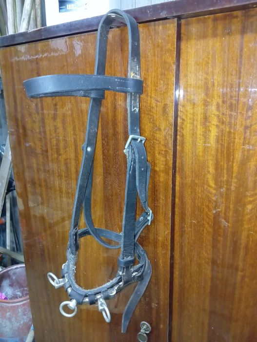 Vendo Serrilhão (equitação)
