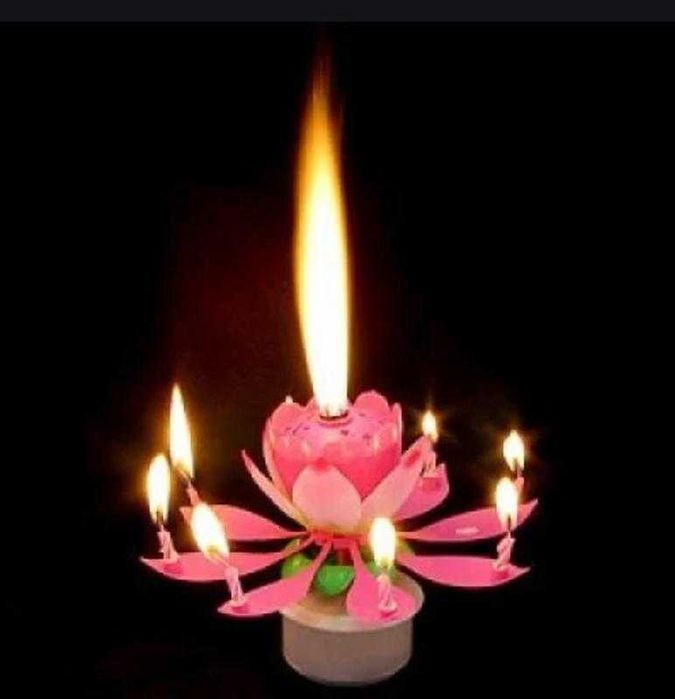 Свеча лотос Bonita цветок музыкальный  фейерверк розовый