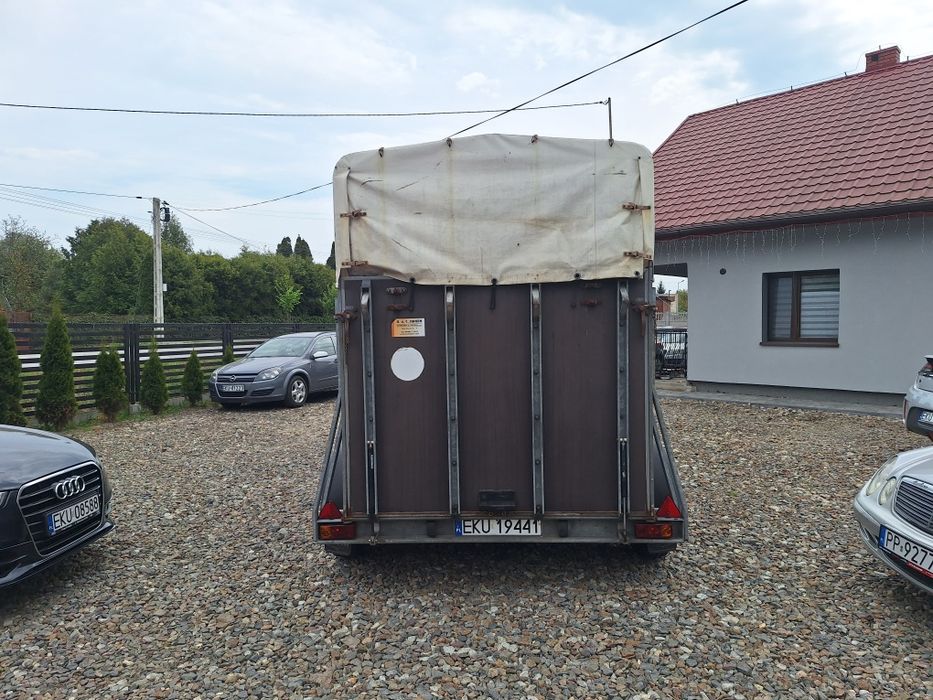 Przyczepa do przewozu koni możliwość zamiany  na auto
