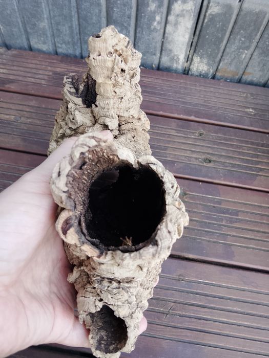 Kora / korek naturalny do terrarium, akwarium lub dekoracji