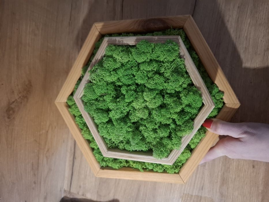 Obrazy ze sztucznego mchu