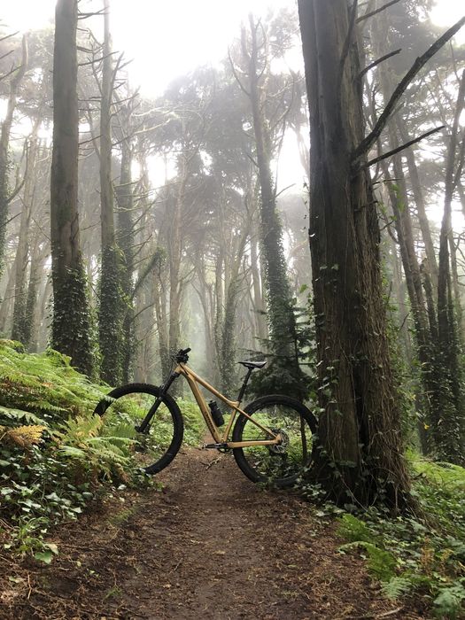 Orbea Laufey H-LTD 2023 - Tamanho S