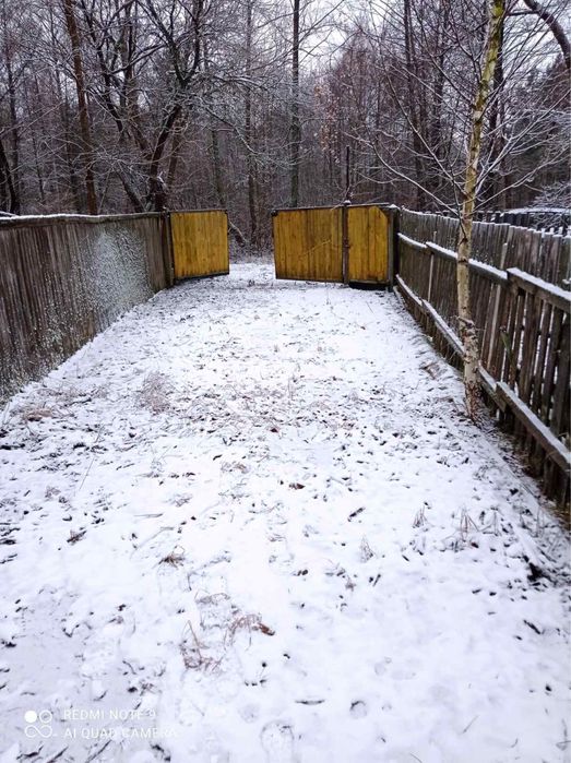 Продається будинок + земельна ділянка в с. Ігнатпіль