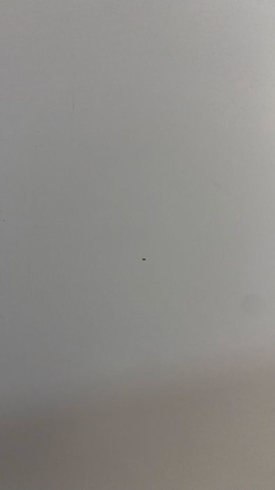 Tampo de secretária IKEA