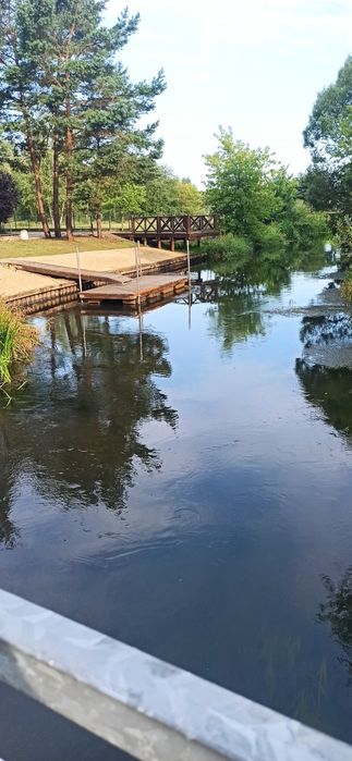 Hortensja domek do wynajęcia