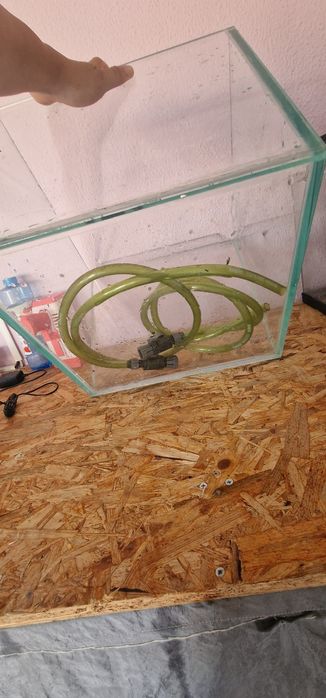 Aquario de criação