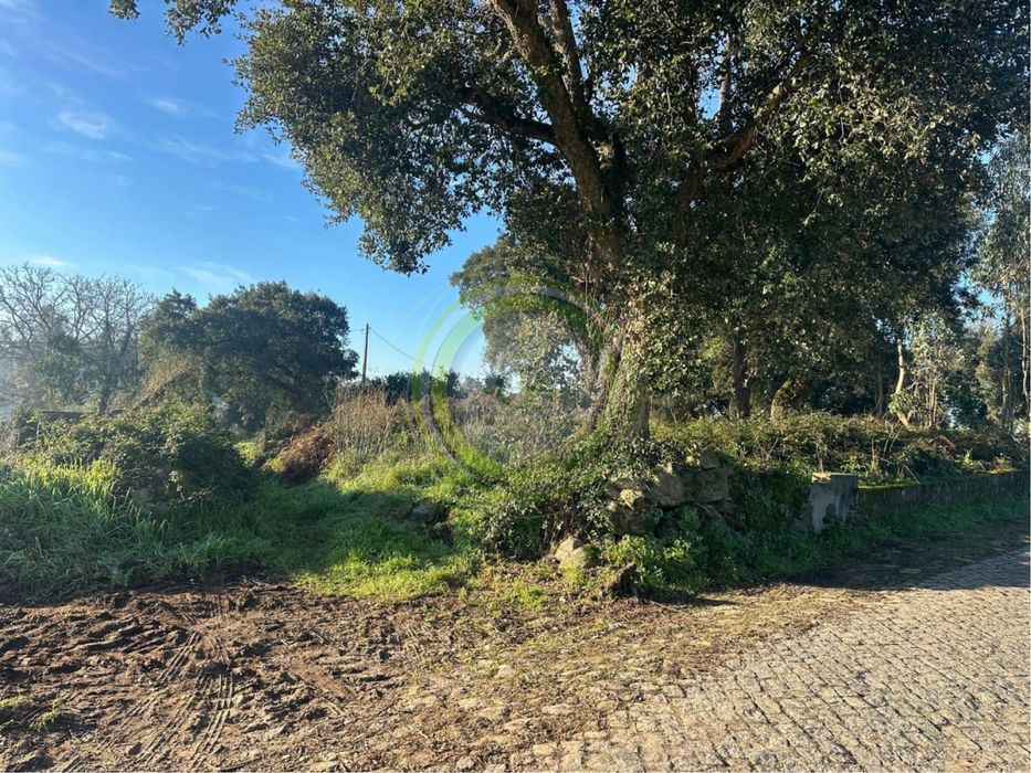 2 Lotes para Construção em Gemeses – 70.000€ (cada)