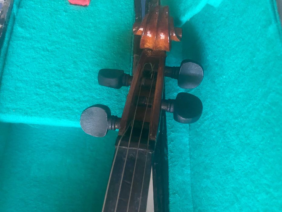 Violino sem arco
