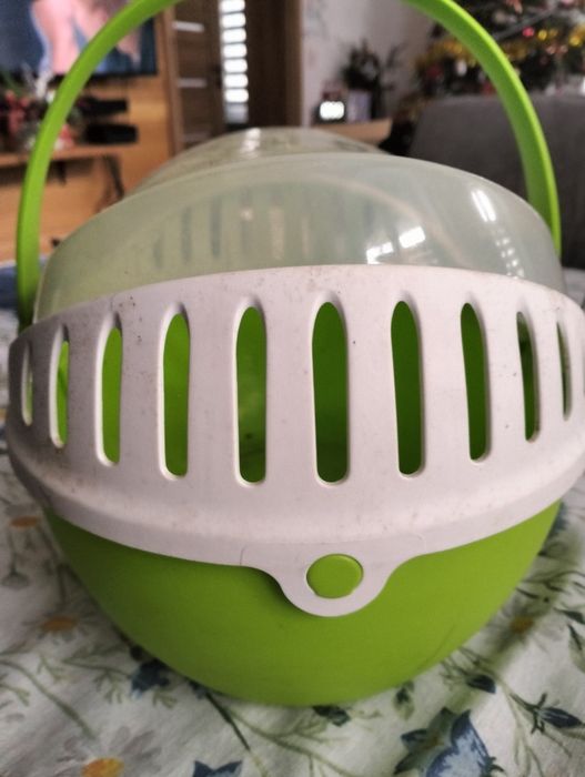 Transporter dla świnki morskiej