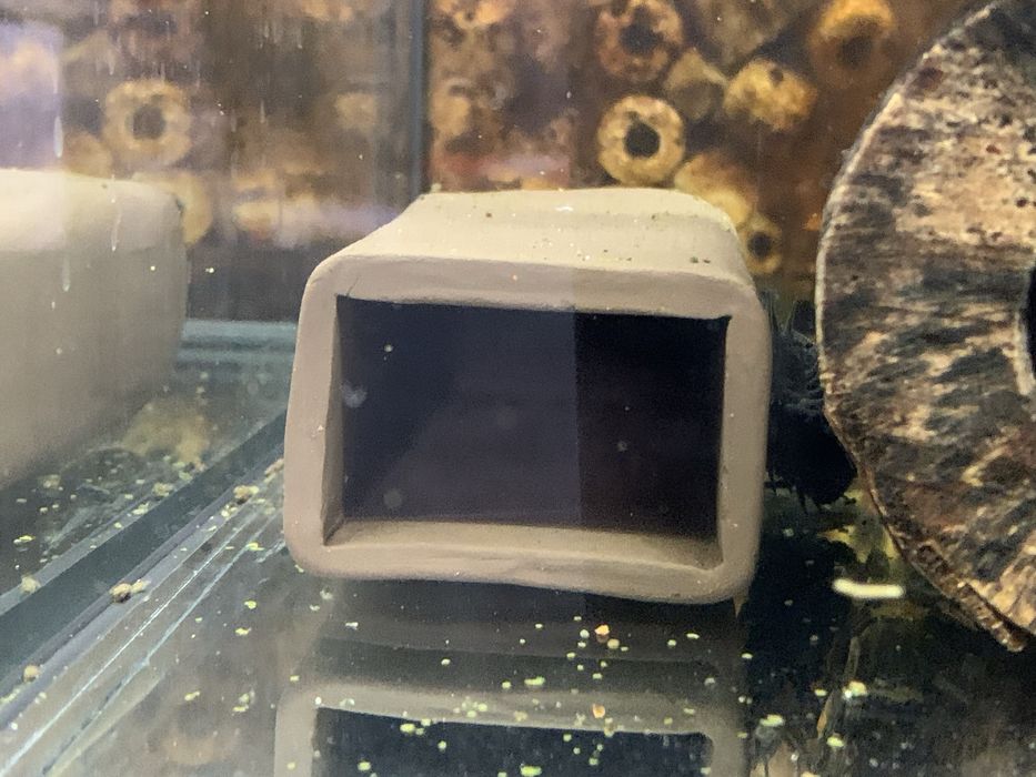 Groty gliniane dla zbrojników