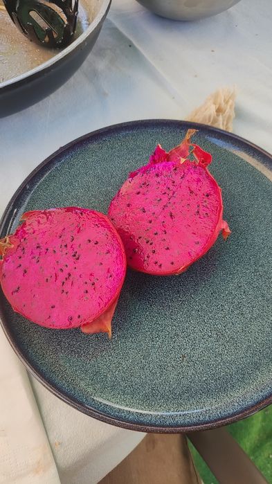 Estacas de Pitaya