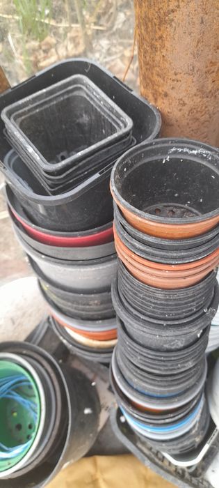 Doniczki tacki na rozsadę do pikowania