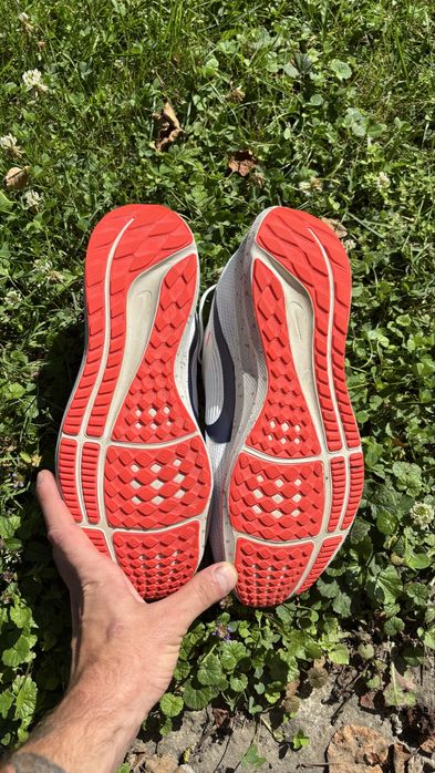 кросівки Nike Air Zoom Pegasus 40