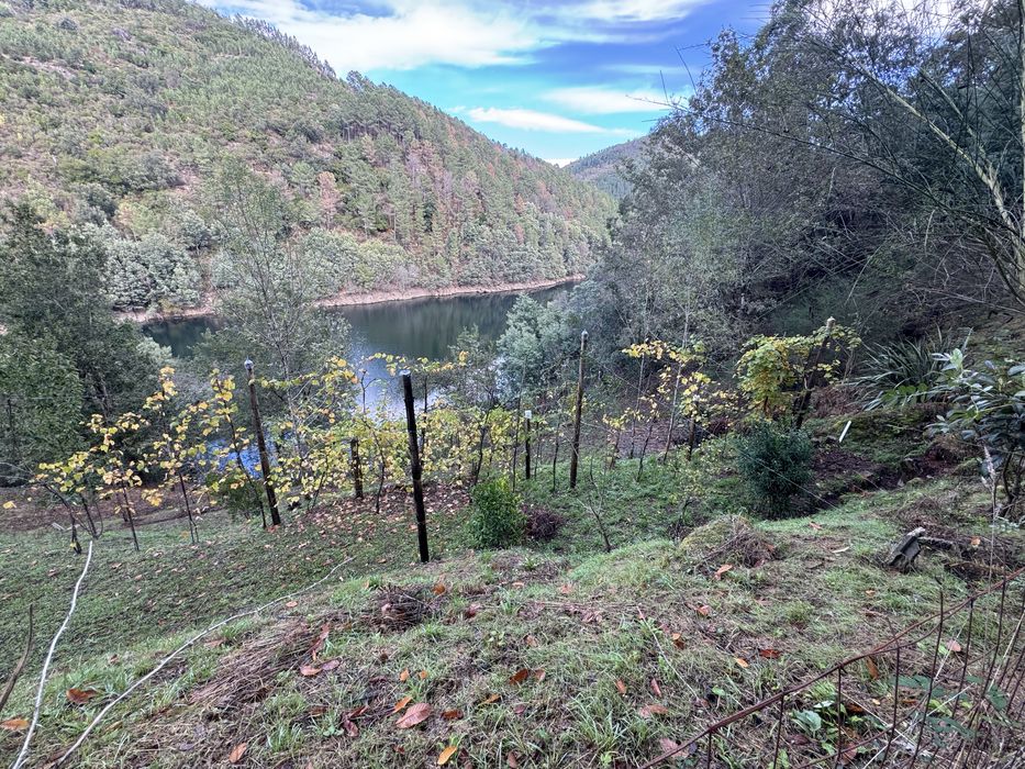 Terreno junto a Barragem de Albufeira da Caniçada, Louredo