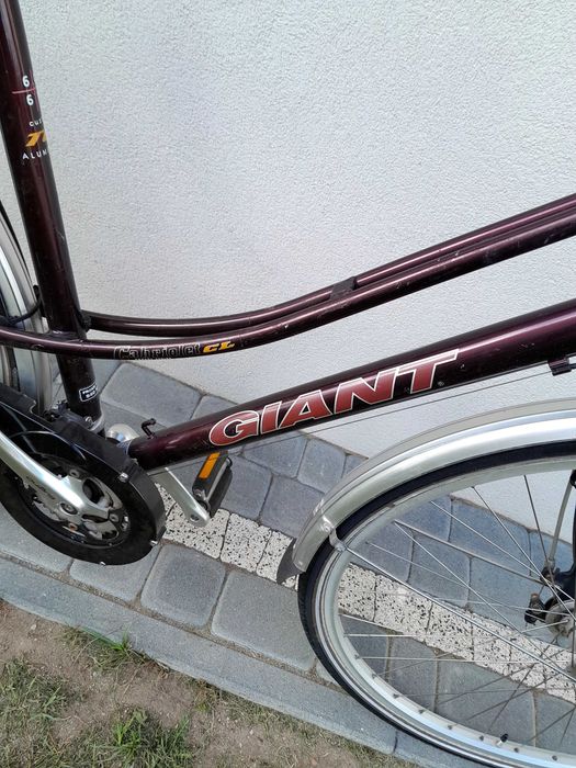 Rower holenderski giant damka