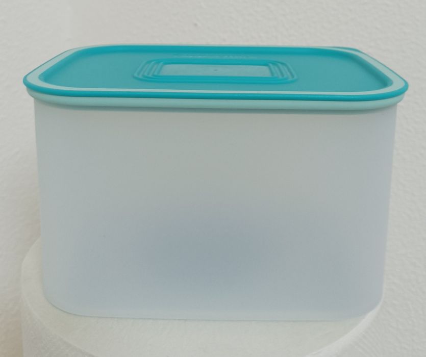 Caixa Tupperware Bifresco Nova