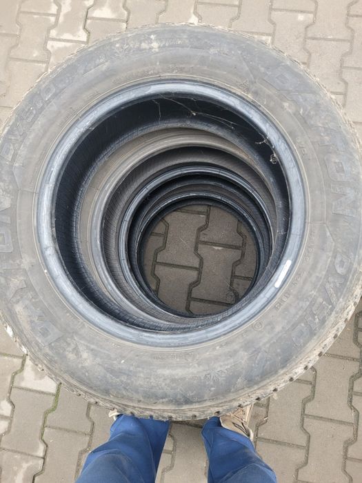 Opony zimowe Dayton 195/65 R15