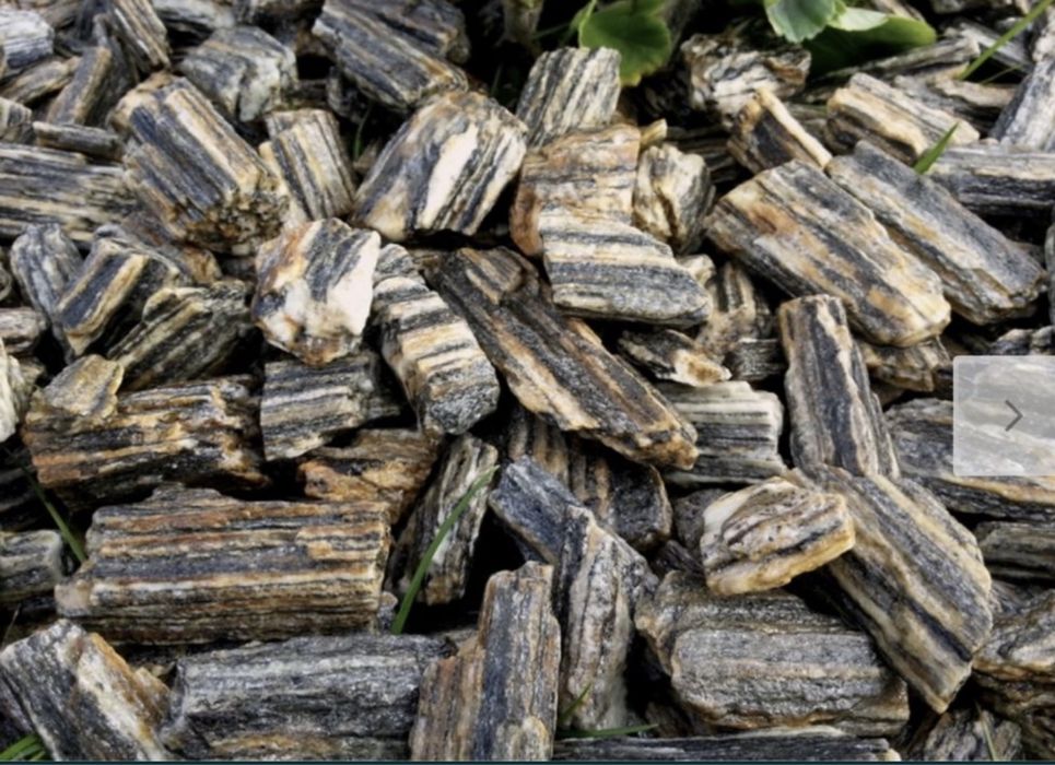 Grys Dalmatyńczyk,granitowy,janowicki,biała marianna,kora kamienna