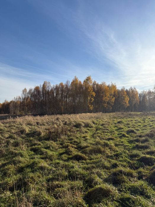 Działka Kraszkowice 1300m2