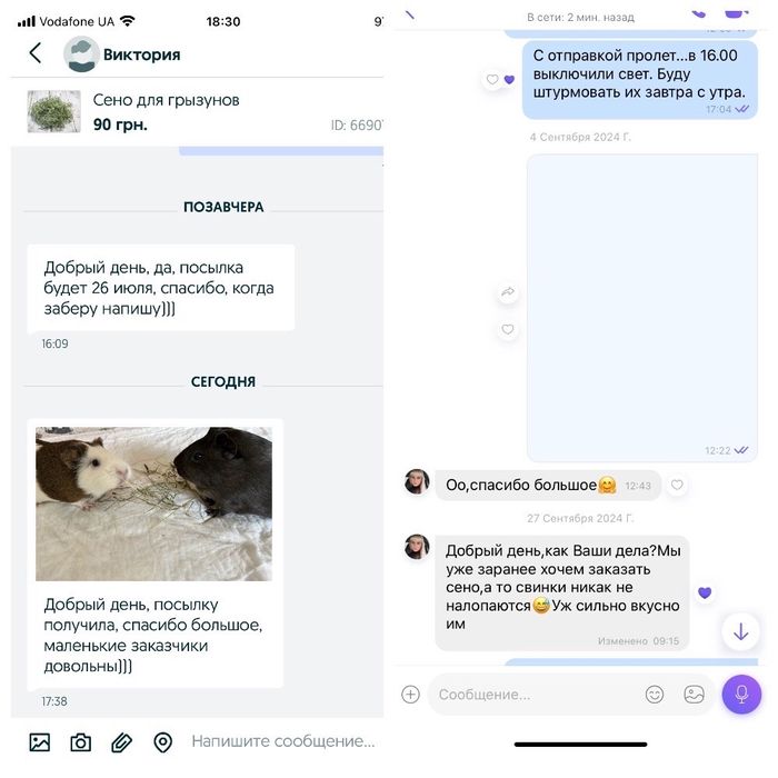 Сено для грызунов. Палочки фруктовых деревьев и кустов.