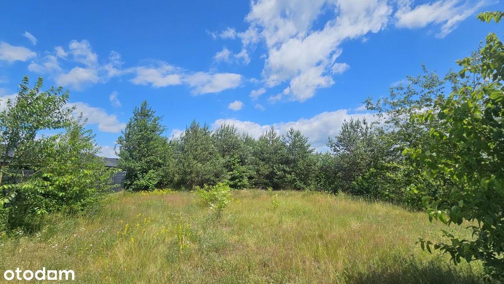 Działka budowlana 800m2 Jachranka, prąd