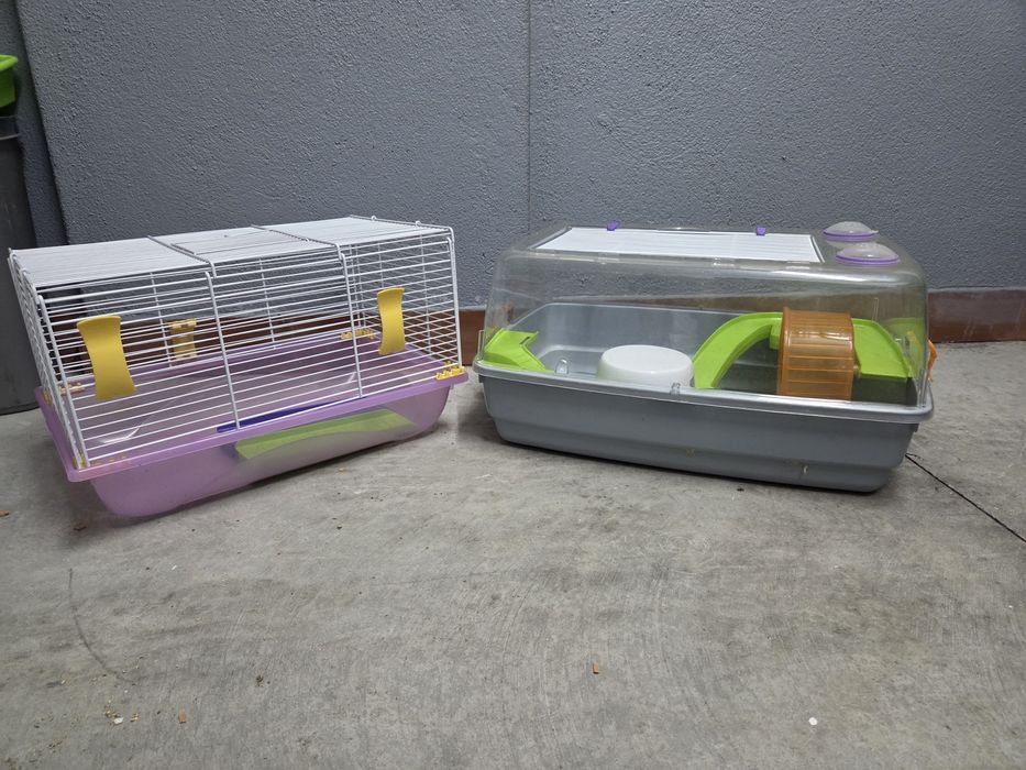 Gaiolas hamster equipadas