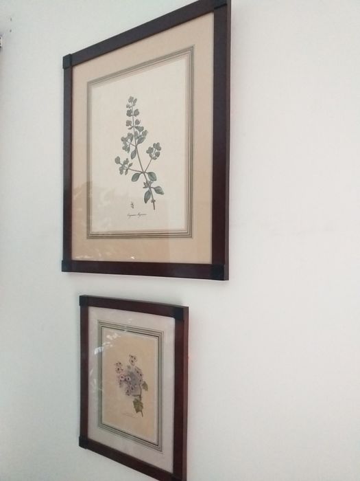 Quadros gravura flores,2preços,madeira,vidroEM MÃOveja zonasDIAS UTEIS