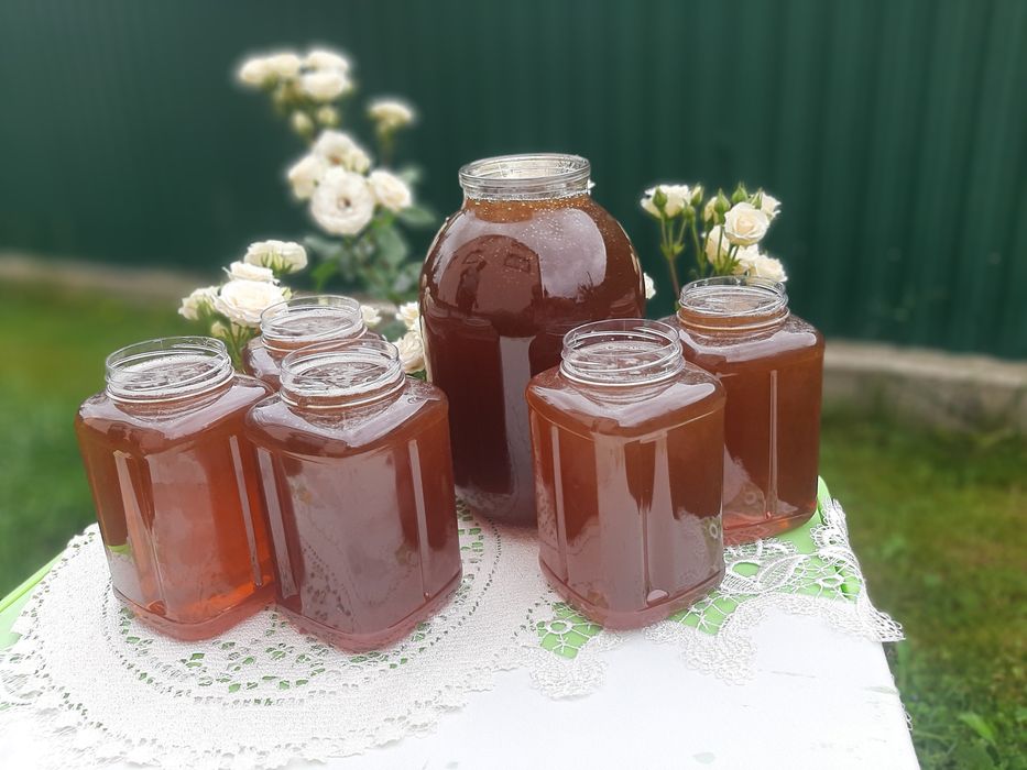 Продам мед високогірний карпатський 2025 збір