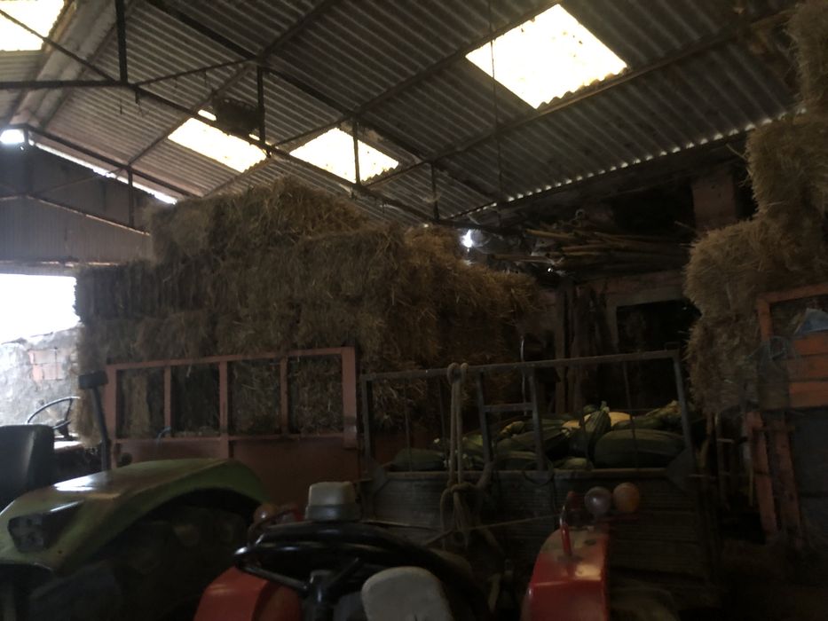 Fardos pequenos fes azevém