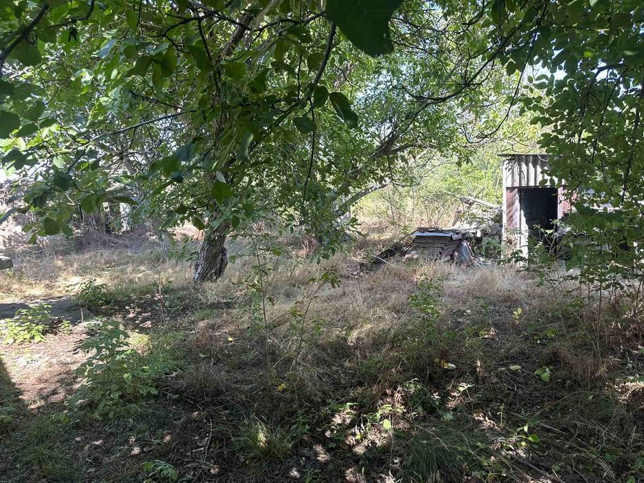 Будинок в с. Луканівка (Миколаївська обл.) – 59 соток землі!