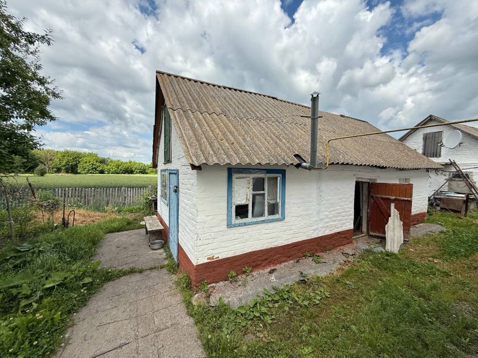 Будинок село Розумниця