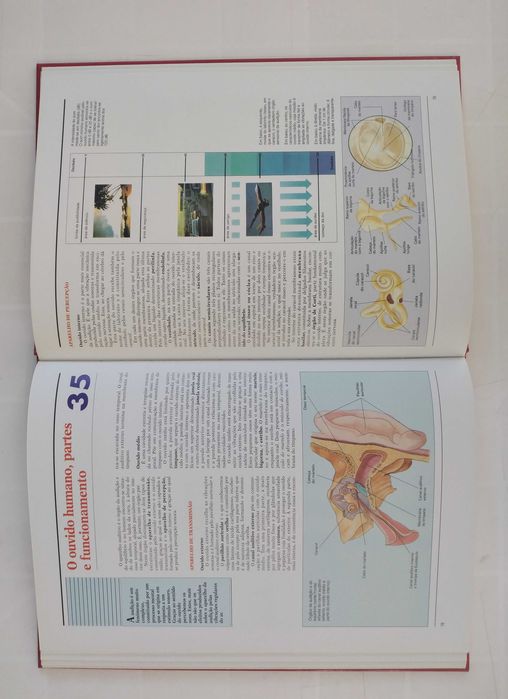 Atlas de Anatomia Humana - livro e cd novos 15€ só o livro 10€