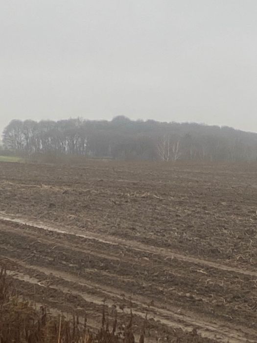 Продам пай в Колоденці 2.58 га.