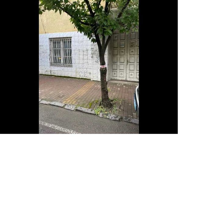 Комерційне приміщення площею 93,50 м. кв