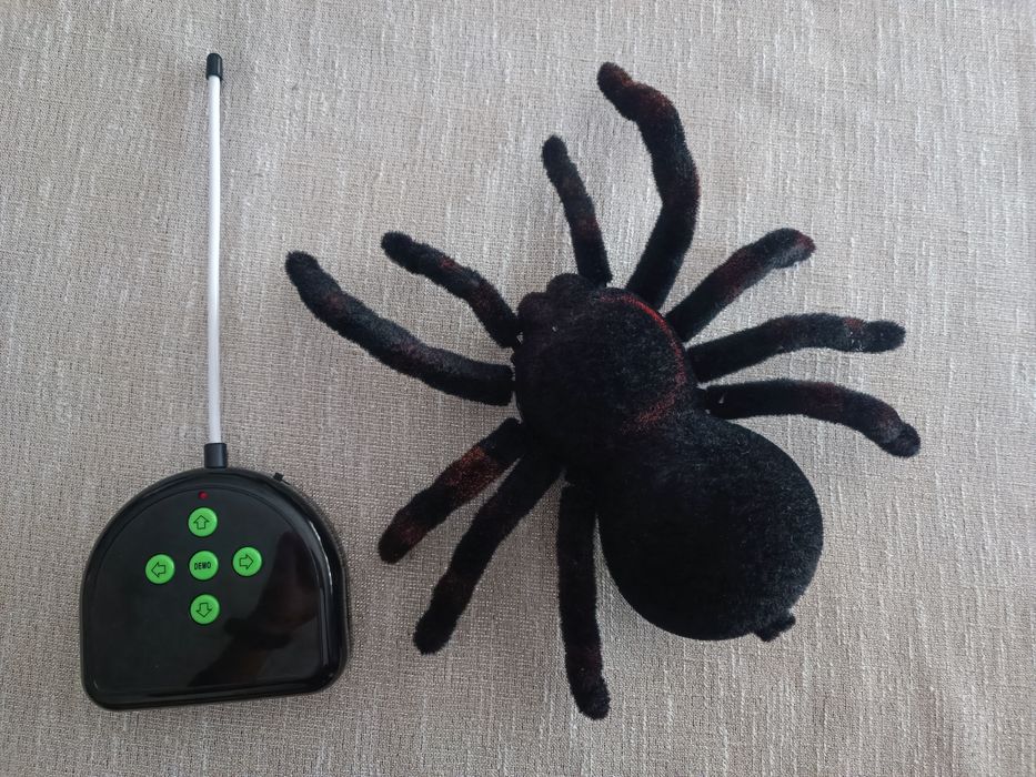 Aranha com telecomando