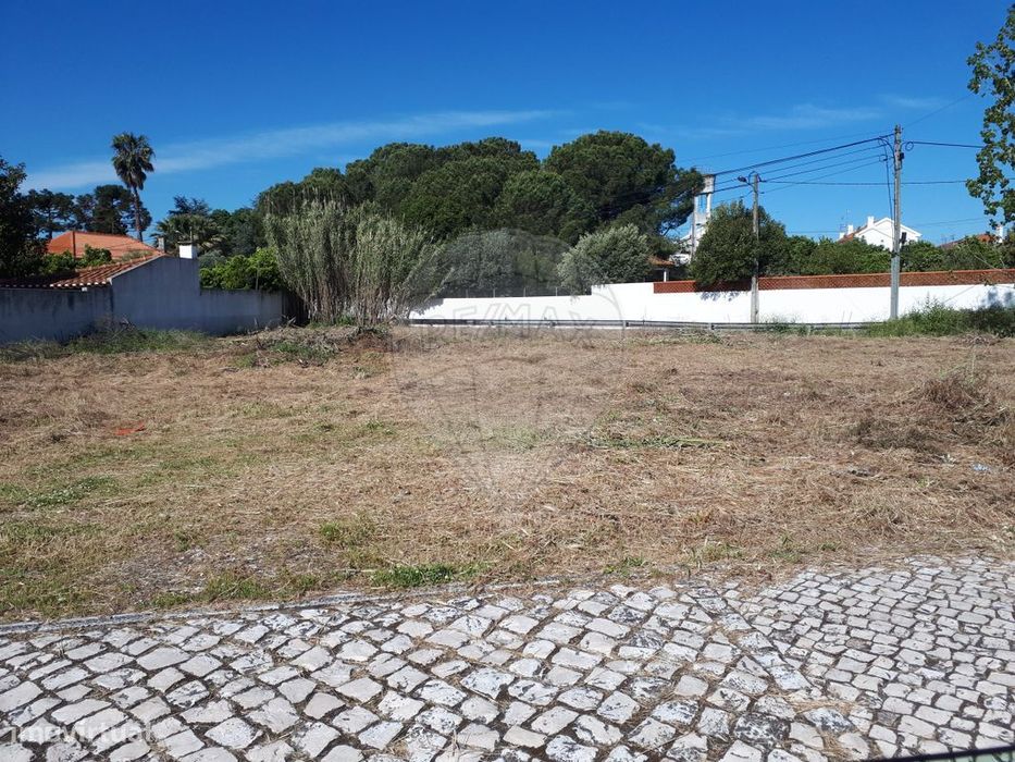 Terreno  para venda — Torres Novas (São Pedro), Lapas E Ribeira Branca, Santarém