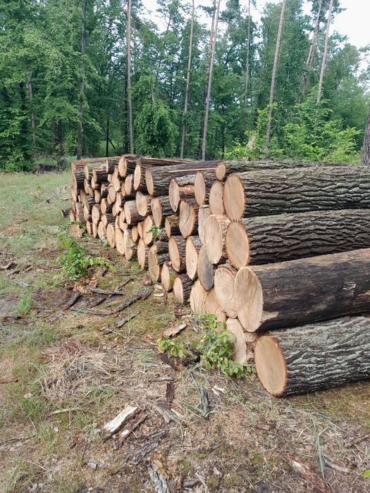 Drewno kominkowe opałowe