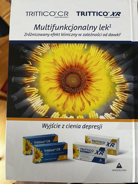 Depresja. Instrukcja obsługi Łukasz Święcicki